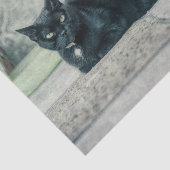 猫 黒 かわいい ビンテージ アンティーク デコパージュ 薄葉紙 (詳細)