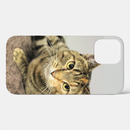 猫 Case-Mate iPhoneケース (裏面 (横))