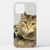 猫 Case-Mate iPhoneケース (裏面)
