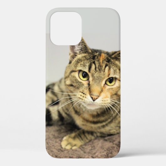 猫 Case-Mate iPhoneケース (裏面)