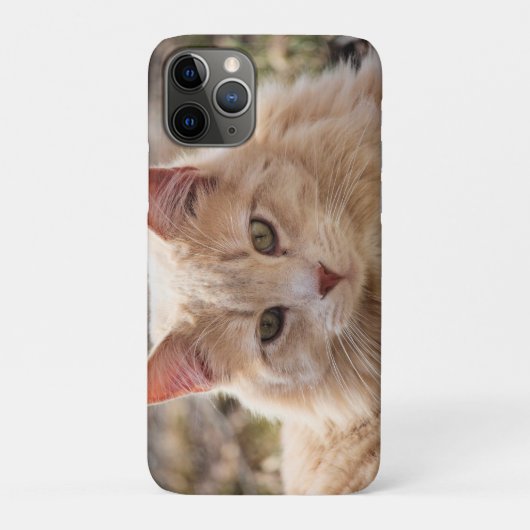 猫 Case-Mate iPhoneケース (裏)