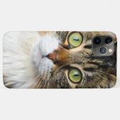 猫 Case-Mate iPhoneケース (裏面(横))