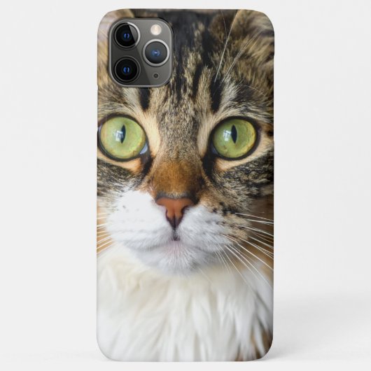 猫 Case-Mate iPhoneケース (裏面)