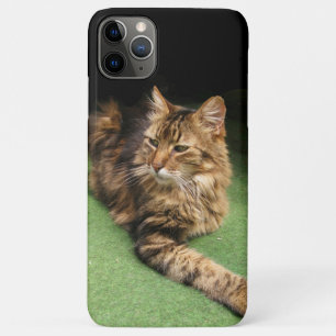猫 iPhone 11 PRO MAXケース