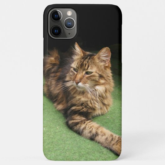 猫 Case-Mate iPhoneケース (裏面)