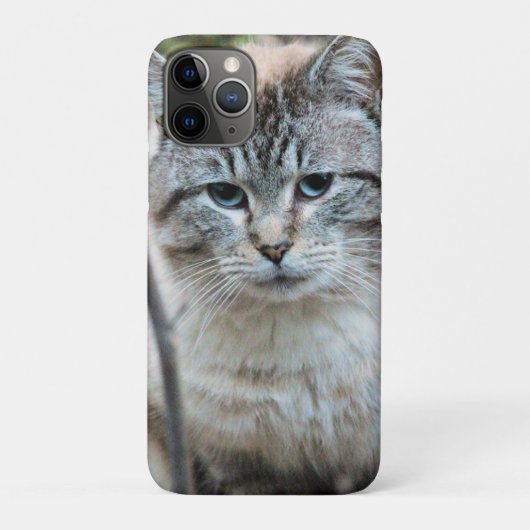 猫 Case-Mate iPhoneケース (裏)