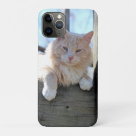 猫 iPhone 11 PROケース
