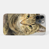 猫 Case-Mate iPhoneケース (裏面(横))