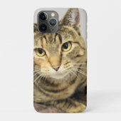 猫 Case-Mate iPhoneケース (裏)