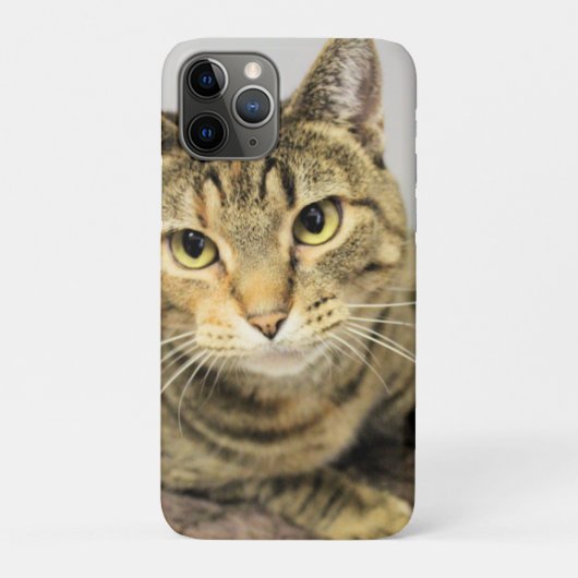 猫 Case-Mate iPhoneケース (裏)