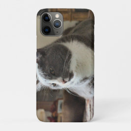 猫 iPhone 11 PROケース