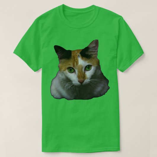 猫 Tシャツ (デザイン正面)