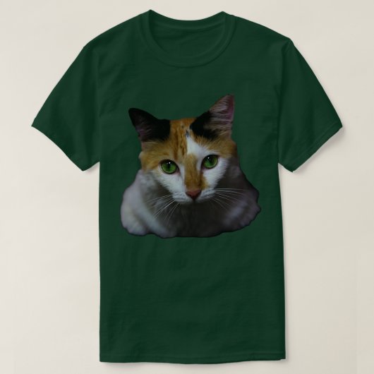 猫 Tシャツ (デザイン正面)