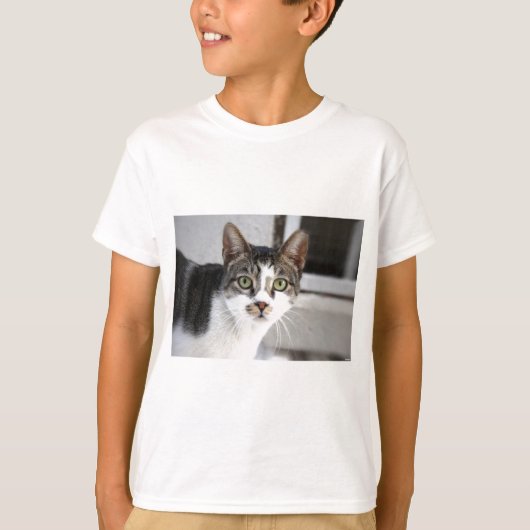 猫 Tシャツ (正面)