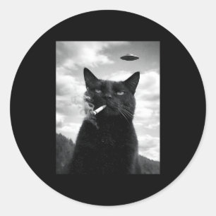 猫 UFO ミーム セルフィー エイリアン ラウンドシール