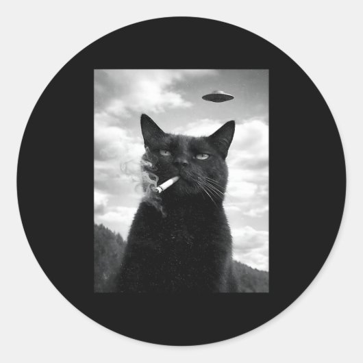 猫 UFO ミーム セルフィー エイリアン ラウンドシール (正面)