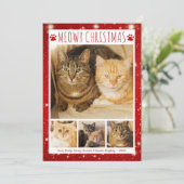 猫MEOWY CHRISTMAS 4 Photos Red Pawprints シーズンカード (スタンド正面)