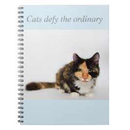 "猫Phoebeの通常の"はノートに挑みます ノートブック