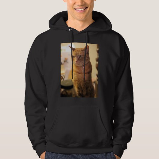猫Tシャツ パーカ (正面)