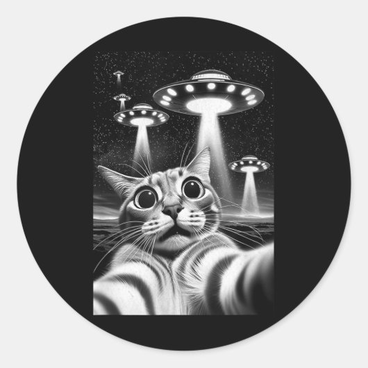 猫Ufo _侵入おもしろいミームレトロエイリアン猫Ufo ラウンドシール (正面)