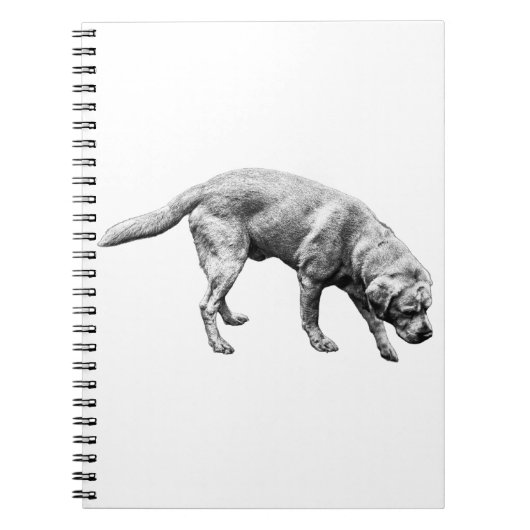 献身のページ ノートブック (正面)