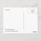 献身 – 引用文 ポストカード (裏面)