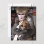 猿および犬の郵便はがき ポストカード (正面/裏面)