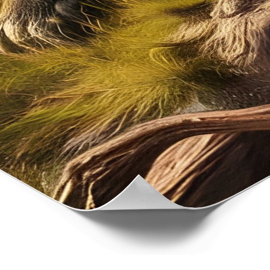 猿が古株に即位 ポスター (角)