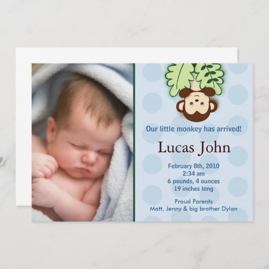 猿のカスタムな写真の誕生の発表 案内状 (正面/裏面)
