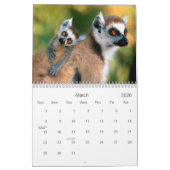 猿のカレンダー2013年 カレンダー (3月 2026)