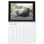 猿のカレンダー カレンダー (3月 2026)