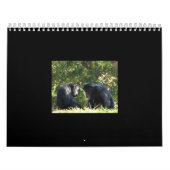 猿のカレンダー カレンダー (カバー)