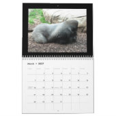 猿のカレンダー カレンダー (3月 2027)