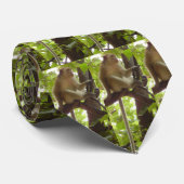 猿のタイ ネクタイ (ロール)