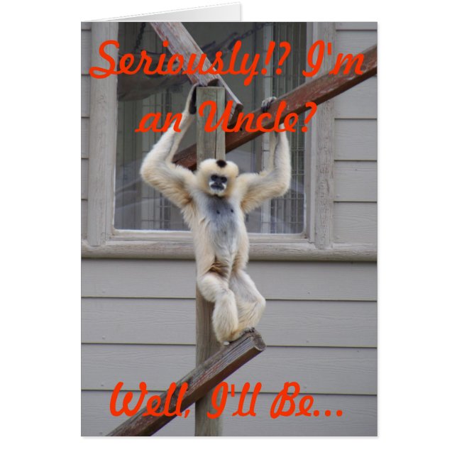 猿の叔父さん (正面)