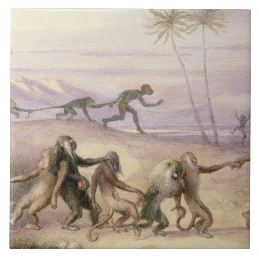 猿の方法そして習慣 タイル (正面)