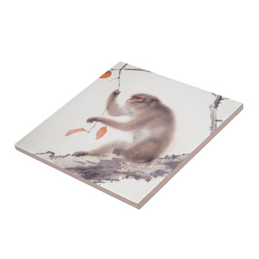 猿の日本のな絵画の中国のな(占星術の)十二宮図のタイル タイル (側面)