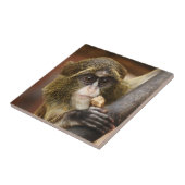 猿の登山の木の写真 タイル (側面)