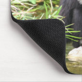 猿の飲むこと マウスパッド (コーナー)