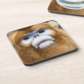 猿のPygathrixの男性の金roxellana コースター (左側)