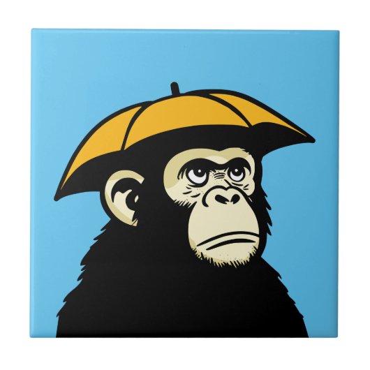 猿は雨に似ぬ タイル (正面)