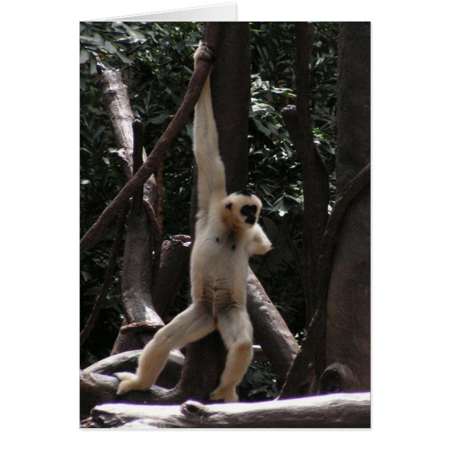 猿カード (正面)