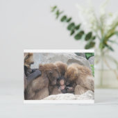 猿人 ポストカード (スタンド正面)