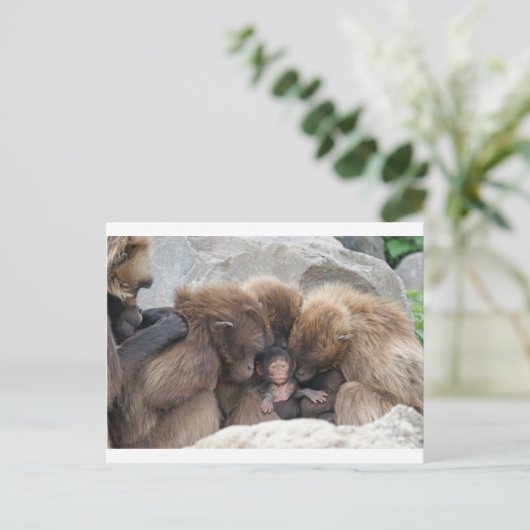 猿人 ポストカード (スタンド正面)