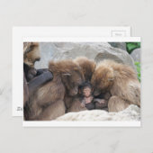 猿人 ポストカード (正面/裏面)