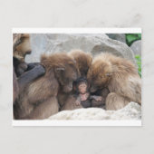 猿人 ポストカード (正面)