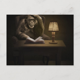 猿猿 ポストカード