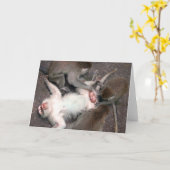 猿 カード (黄色い花)