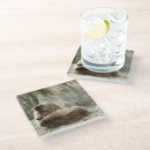 猿 ガラスコースター (アングル)