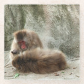 猿 ガラスコースター (正面)